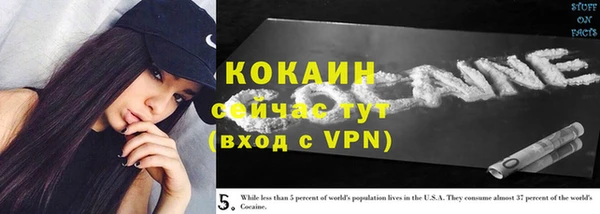 дживик Абинск