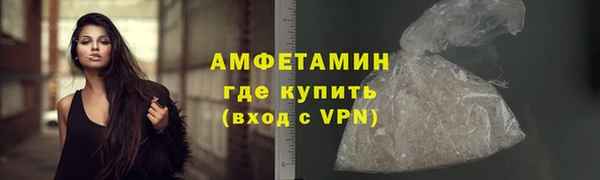 прущие грибы Россошь