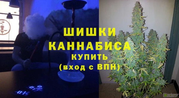 прущие грибы Россошь