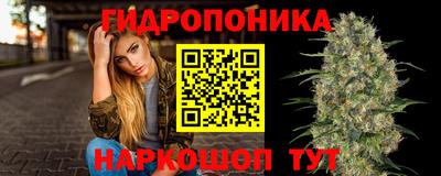 эйфоретик Дубна