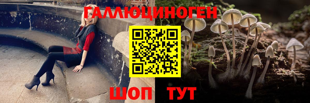 Псилоцибиновые грибы GOLDEN TEACHER Нягань